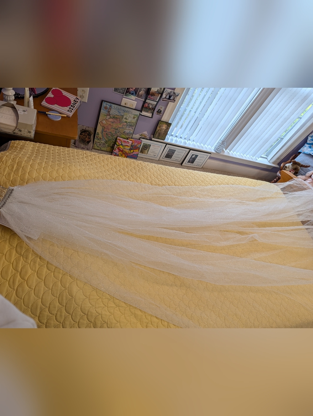 Sparkle Cathedral Single Tier Wedding Bridal Veil 118" Wide - Picture 8 of 10